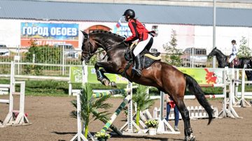 Чемпионат и первенство Омской области по конному спорту (конкур)