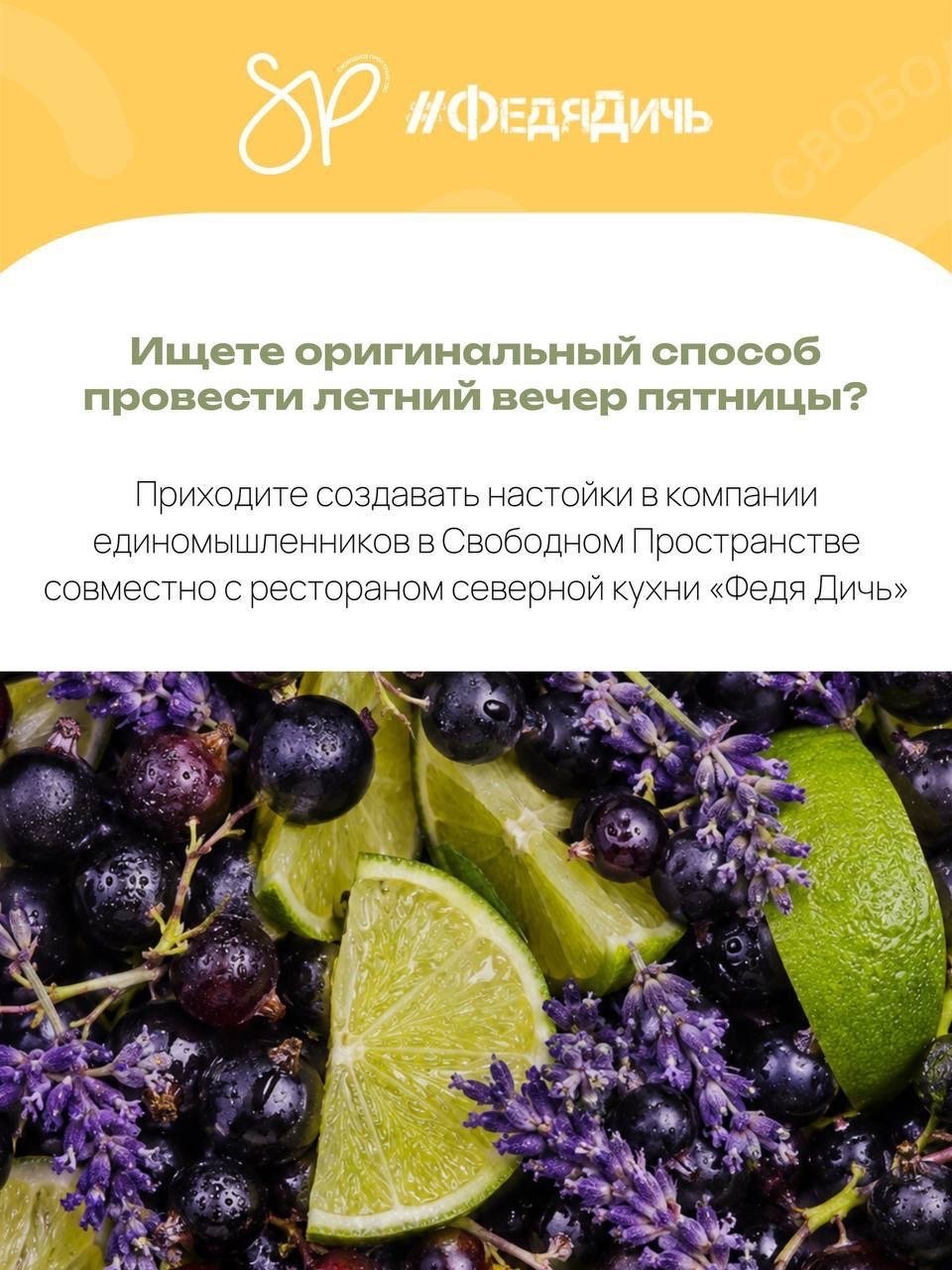Дегустация и приготовление настоек (18+)