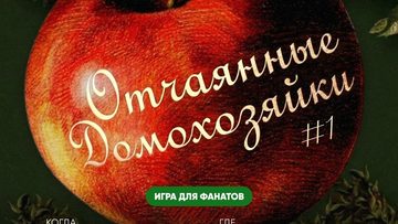 Домохозяйки