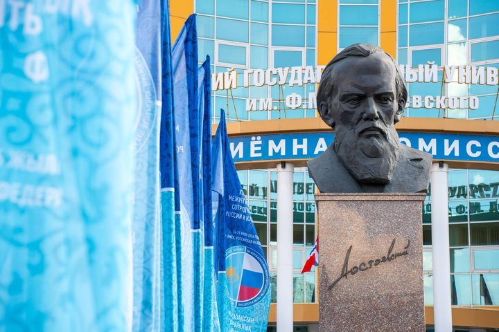 Довузовская подготовка