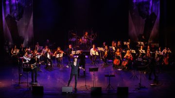Хиты Sting с симфоническим оркестром Desert Rose Symphony 0+