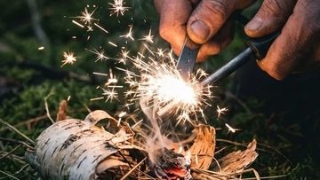 Код леса: миссия по спасению будущего