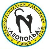 Кошачье царство