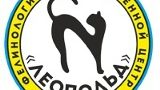 Кошачье царство