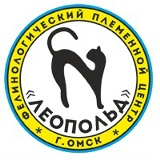 Кошачье царство