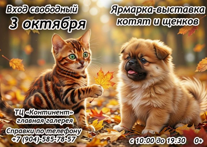 Котята и щенки