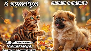 Котята и щенки