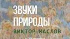 Краски природы