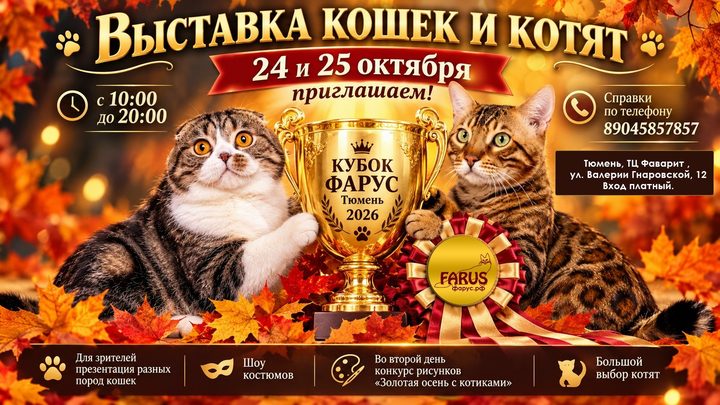 Кубок ФАРУС Тюмень 2026