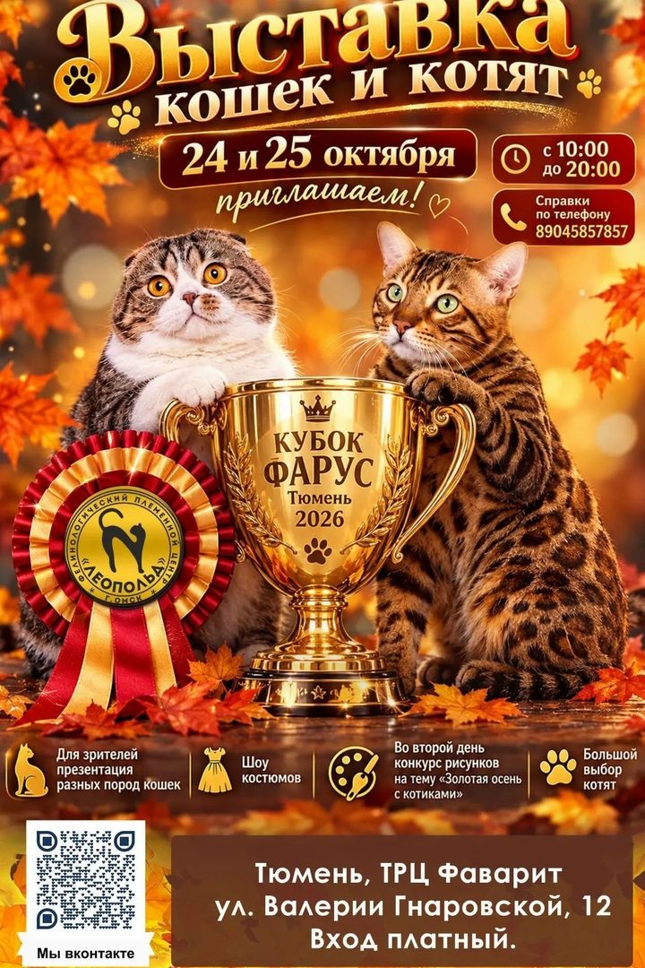 Мир кошек и котят