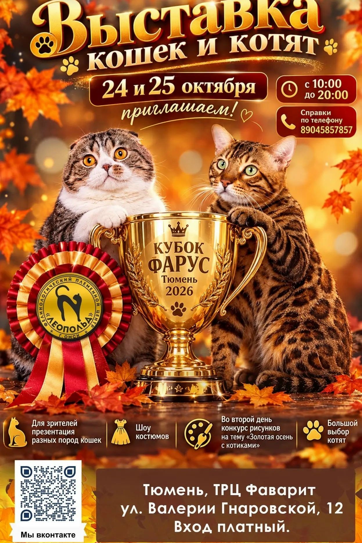 Мир кошек и котят