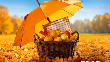 Мозгобойня Классическая