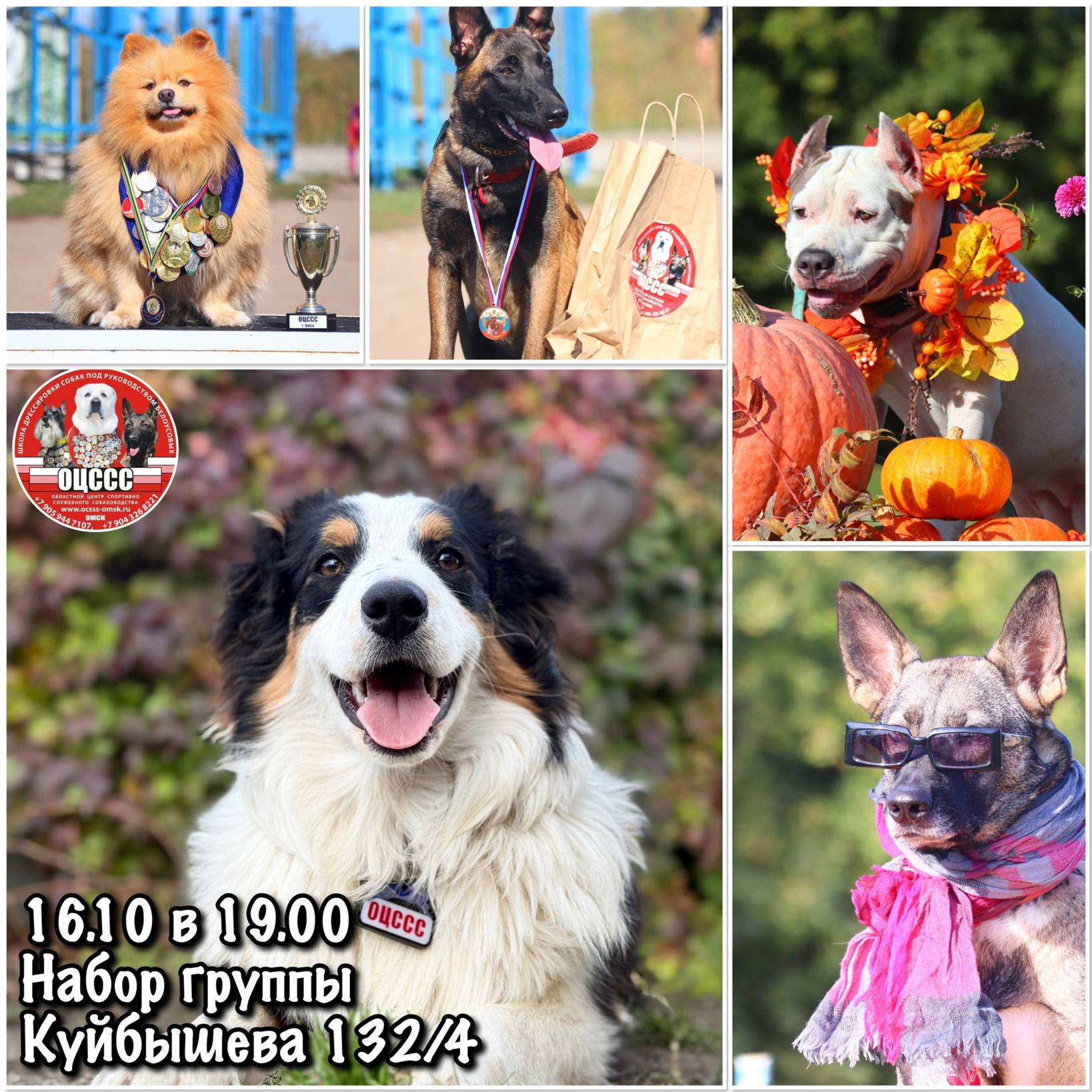 Набор в учебную группу