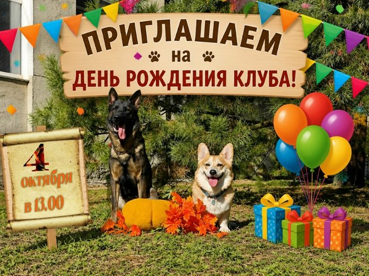 Нам — 41