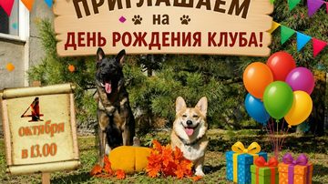 Нам — 41