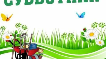 Общегородской субботник