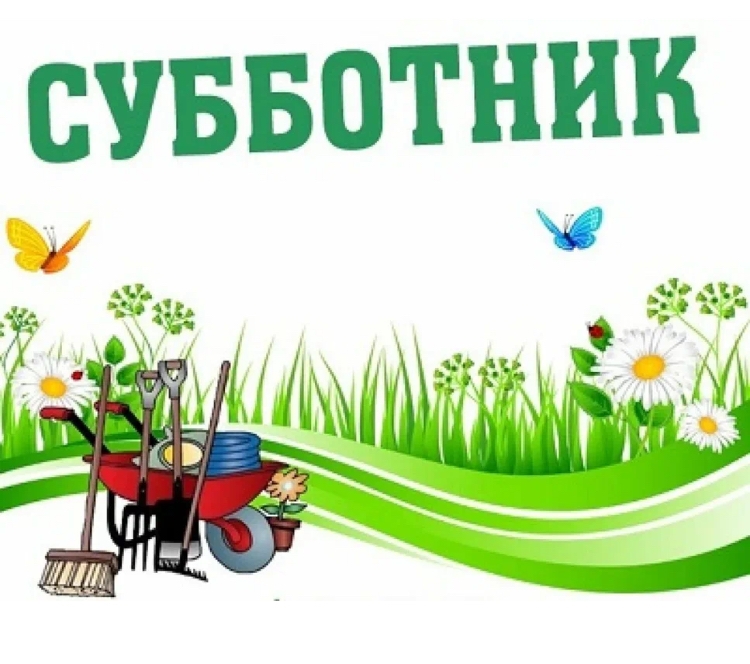 Общегородской субботник