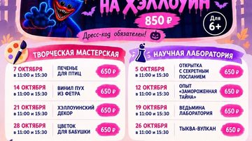 Опыт «Замороженная тайна»