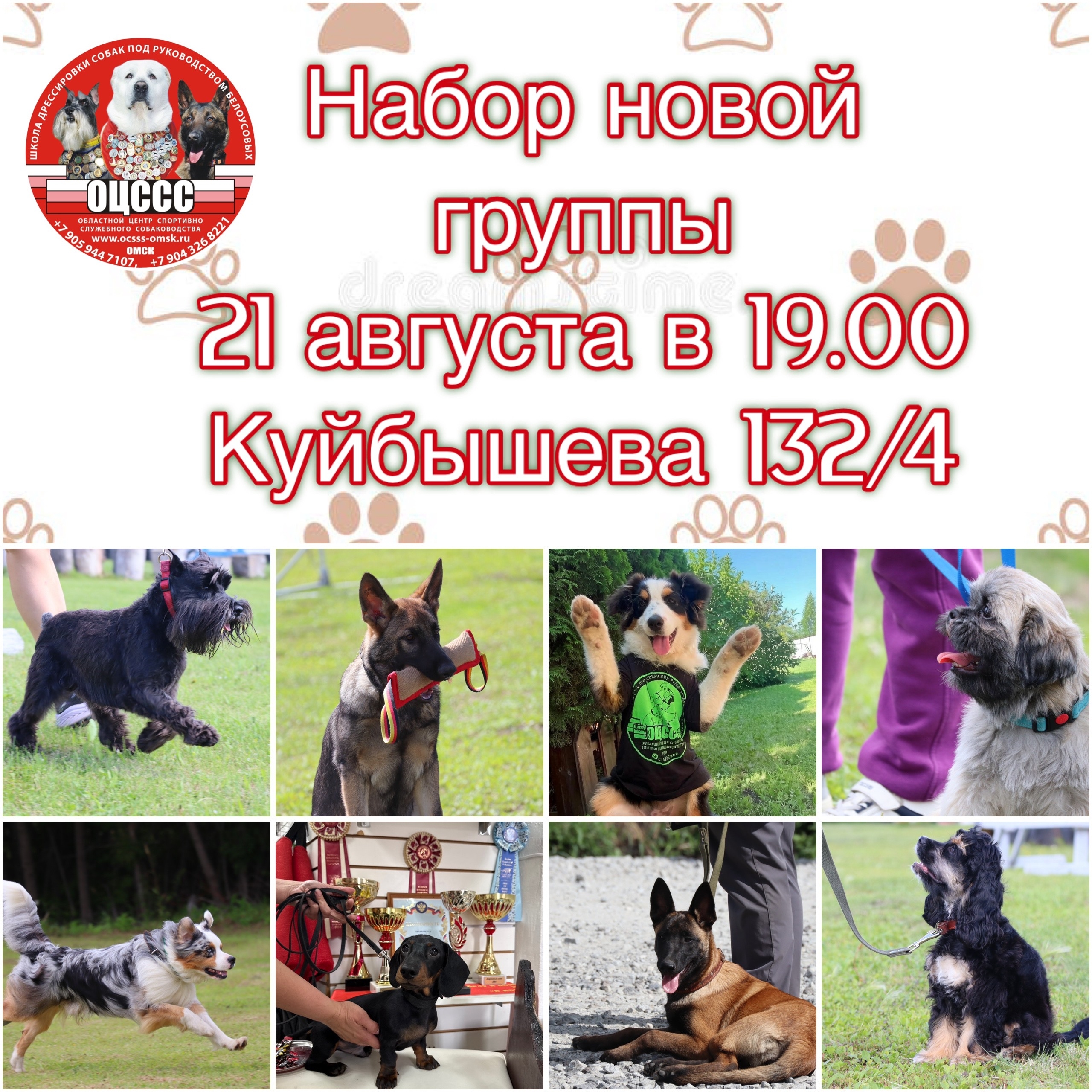 Организационное собрание (набор группы)