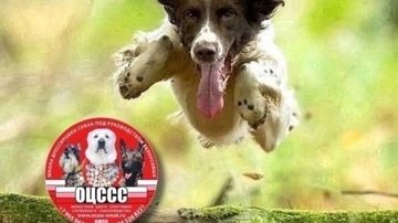 Посещение стадиона после работы