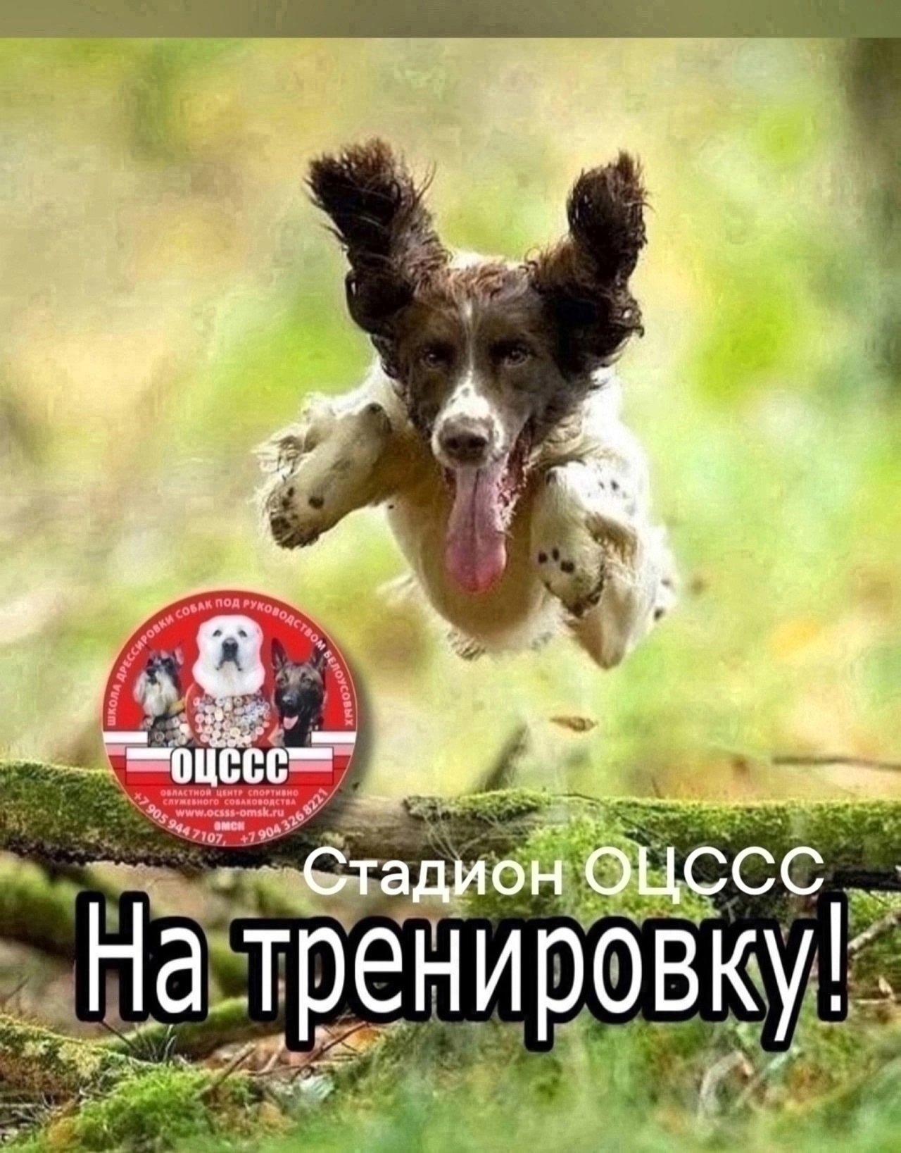 Посещение стадиона после работы