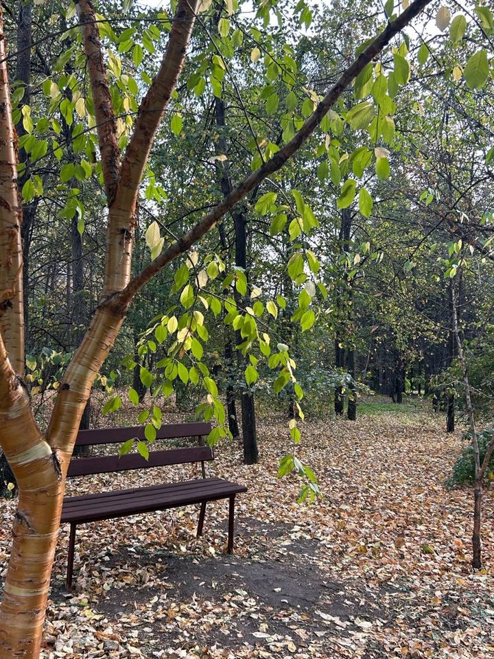 Прогулка по саду и винодельне
