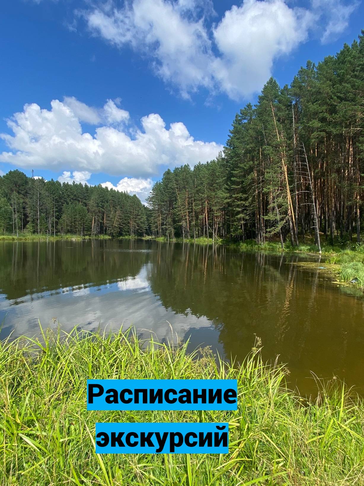 Прогулка по улице Маяковского
