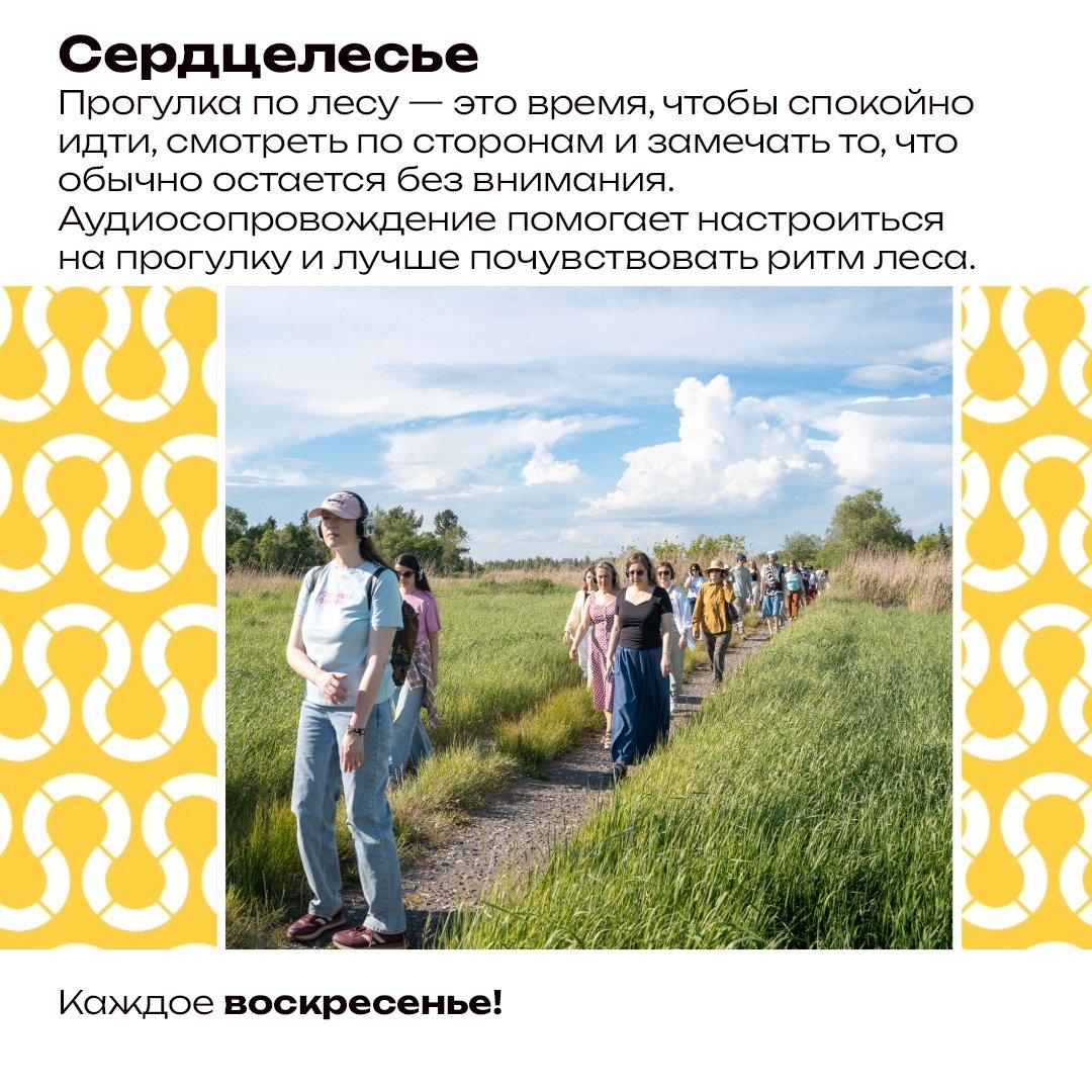 Сердцелесье