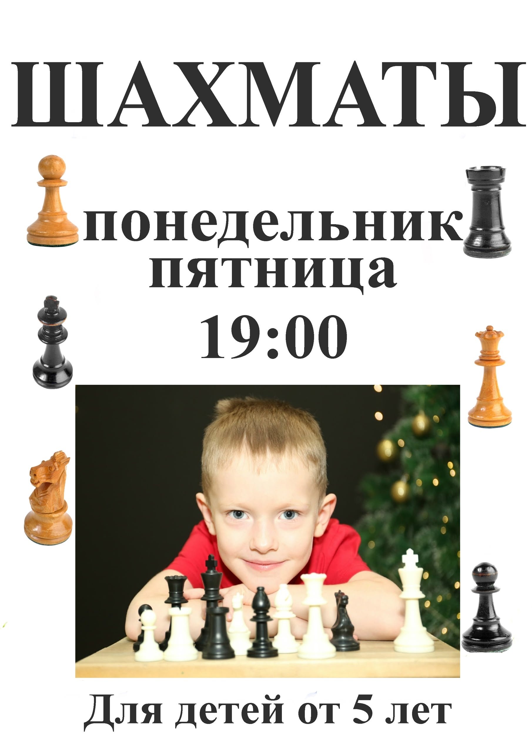 Шахматы