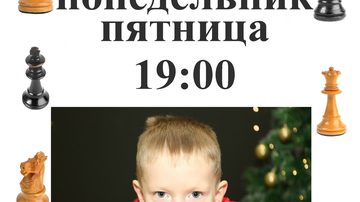 Шахматы