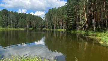 Тара + Екатерининское