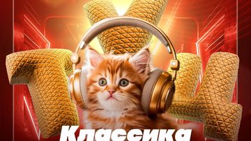 Туц Туц Квиз Лёгкий