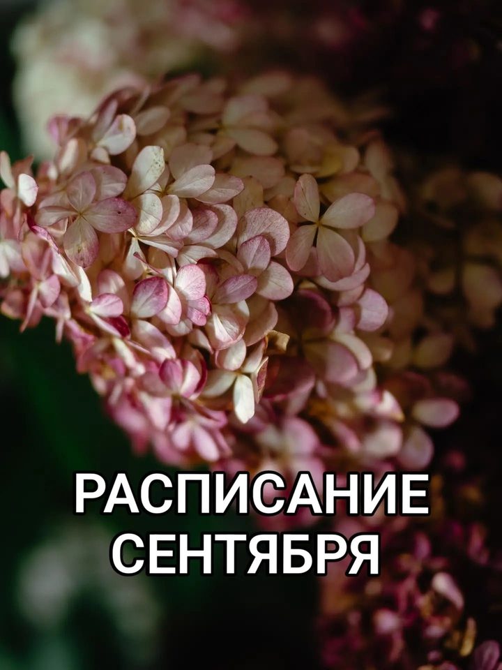 Выбор роддома и команды на роды