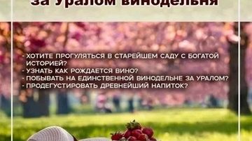 Загородное путешествие по вкусам и истории